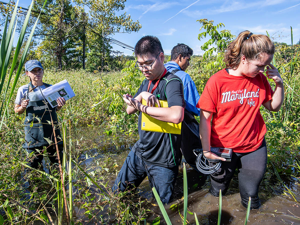 Students in marsh